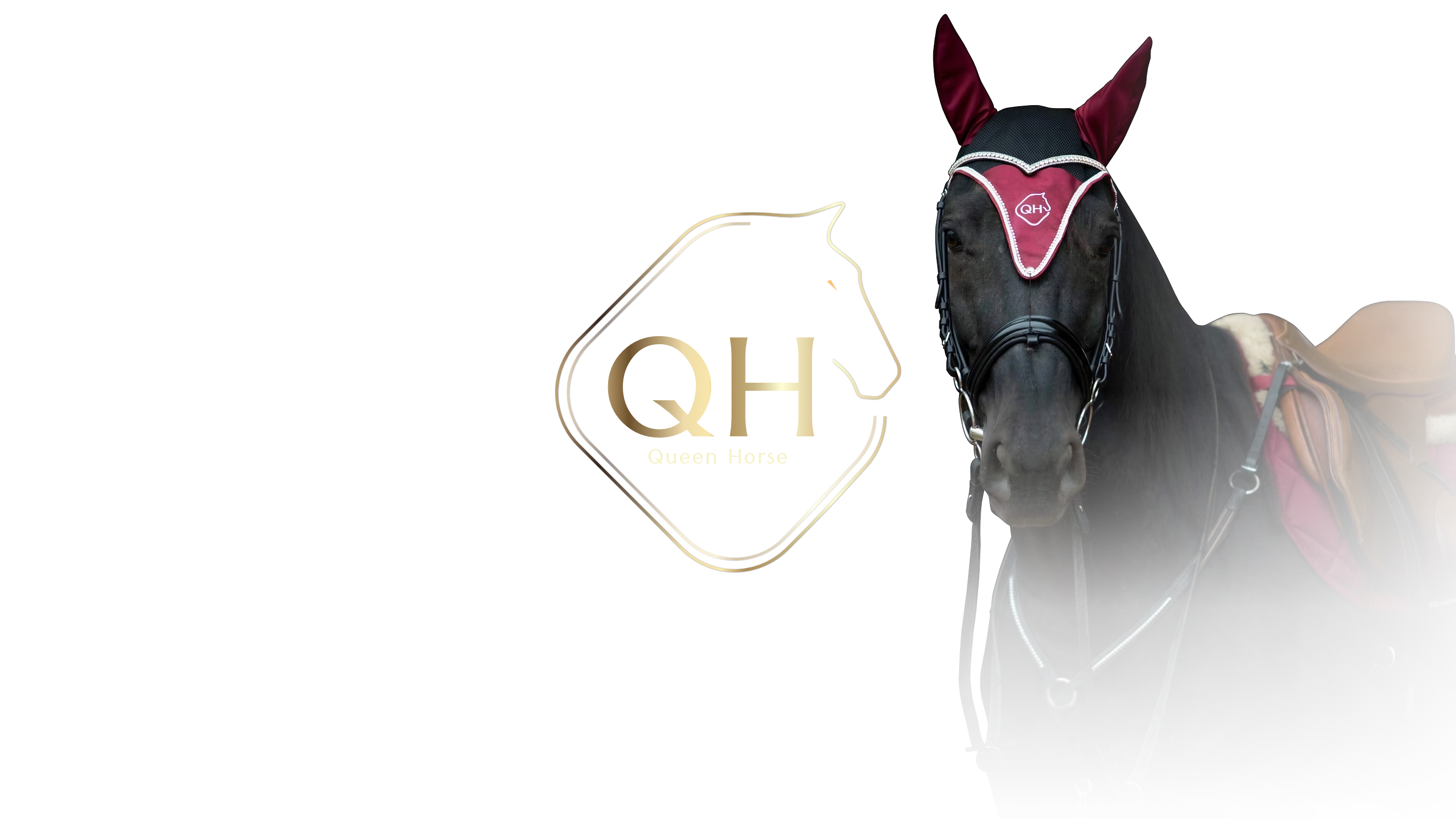 Queen Horse